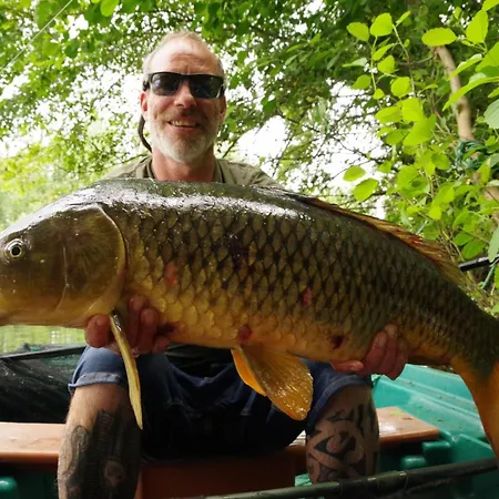 Vakantiehuis Pis-en-lits Vire-sur-Lot